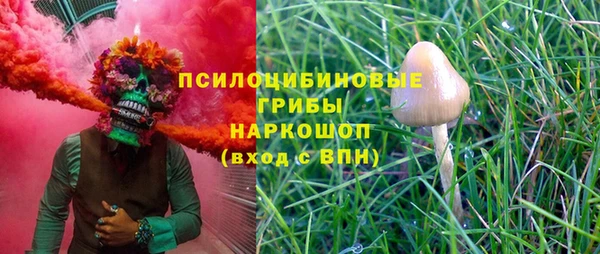 спайс Балабаново