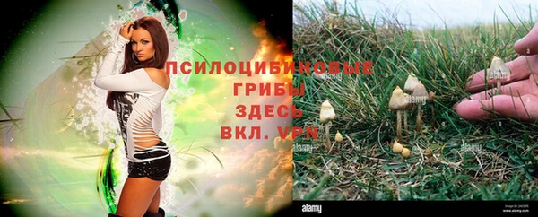 кокс Беломорск