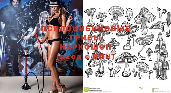 бошки Баксан